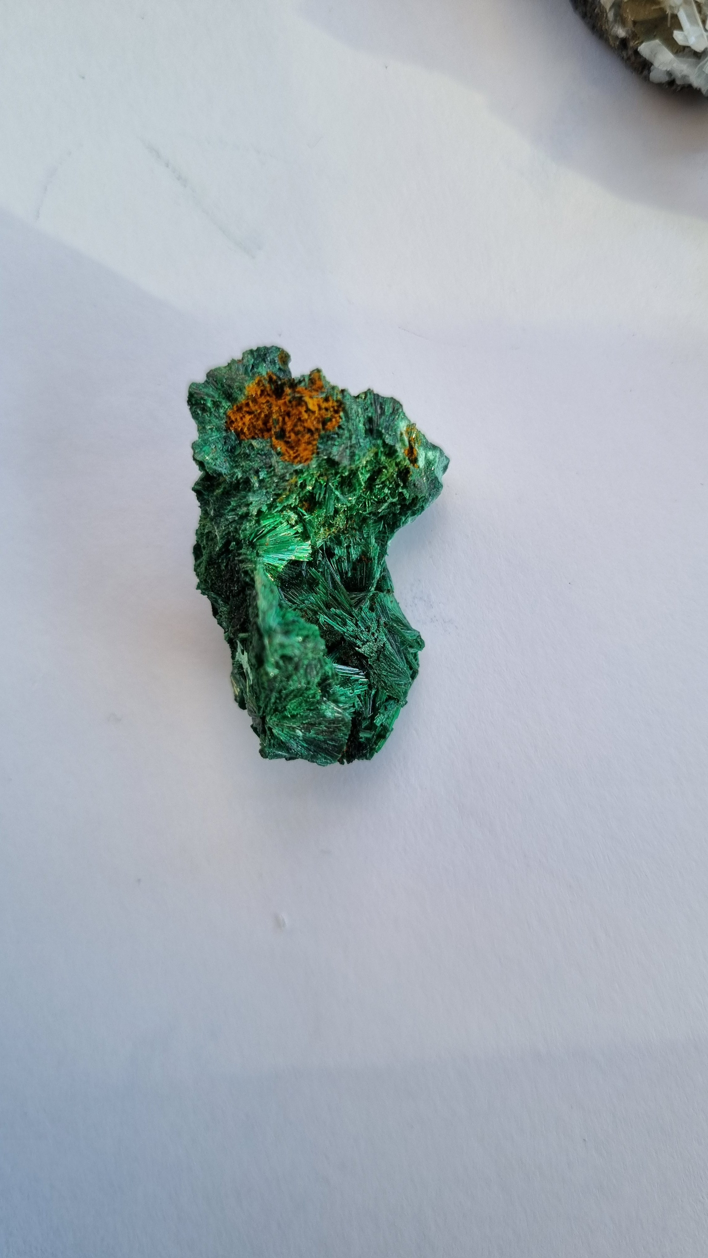 Malachite - feather formation specimen -