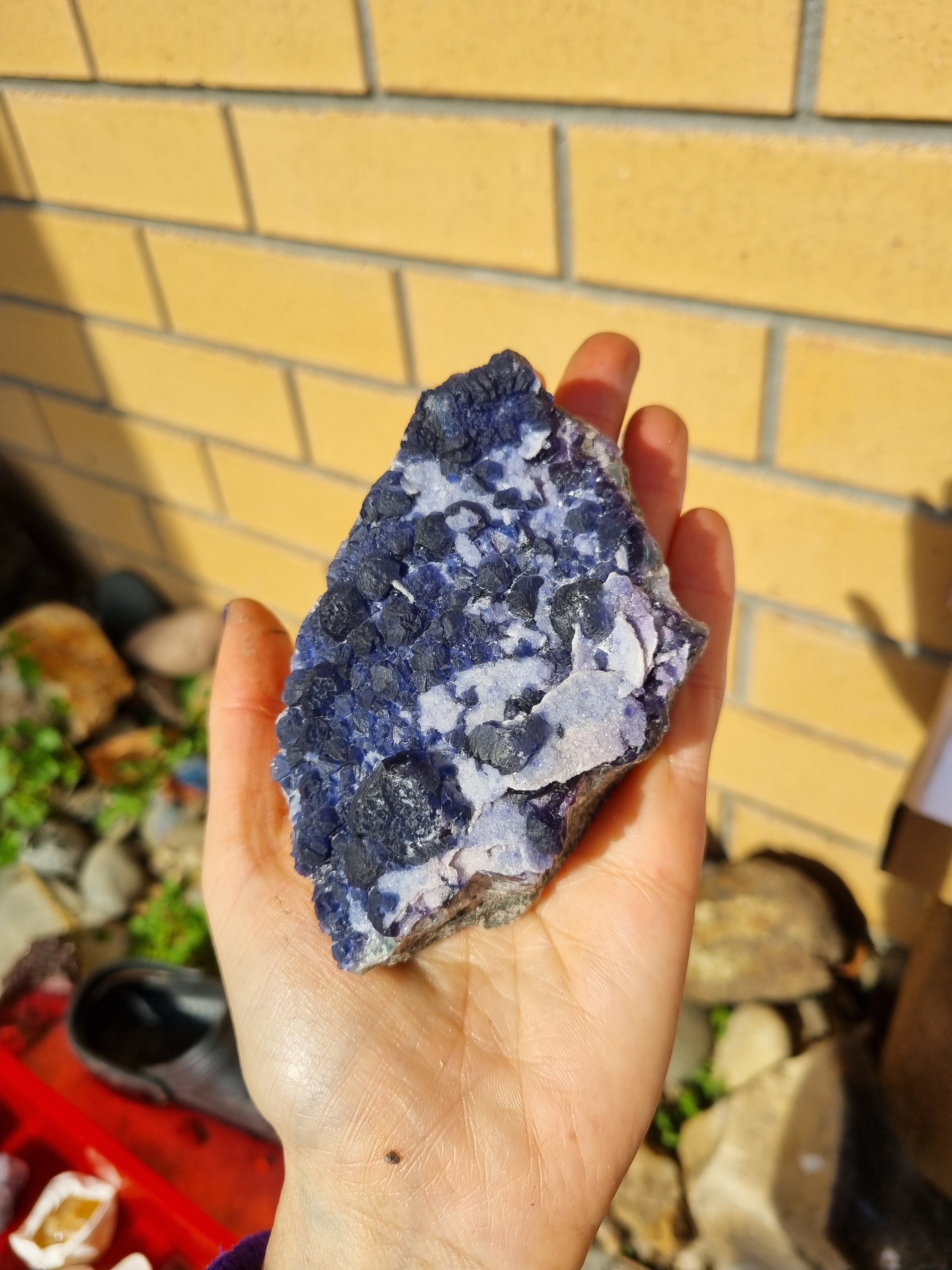 Blue fluorite cluster