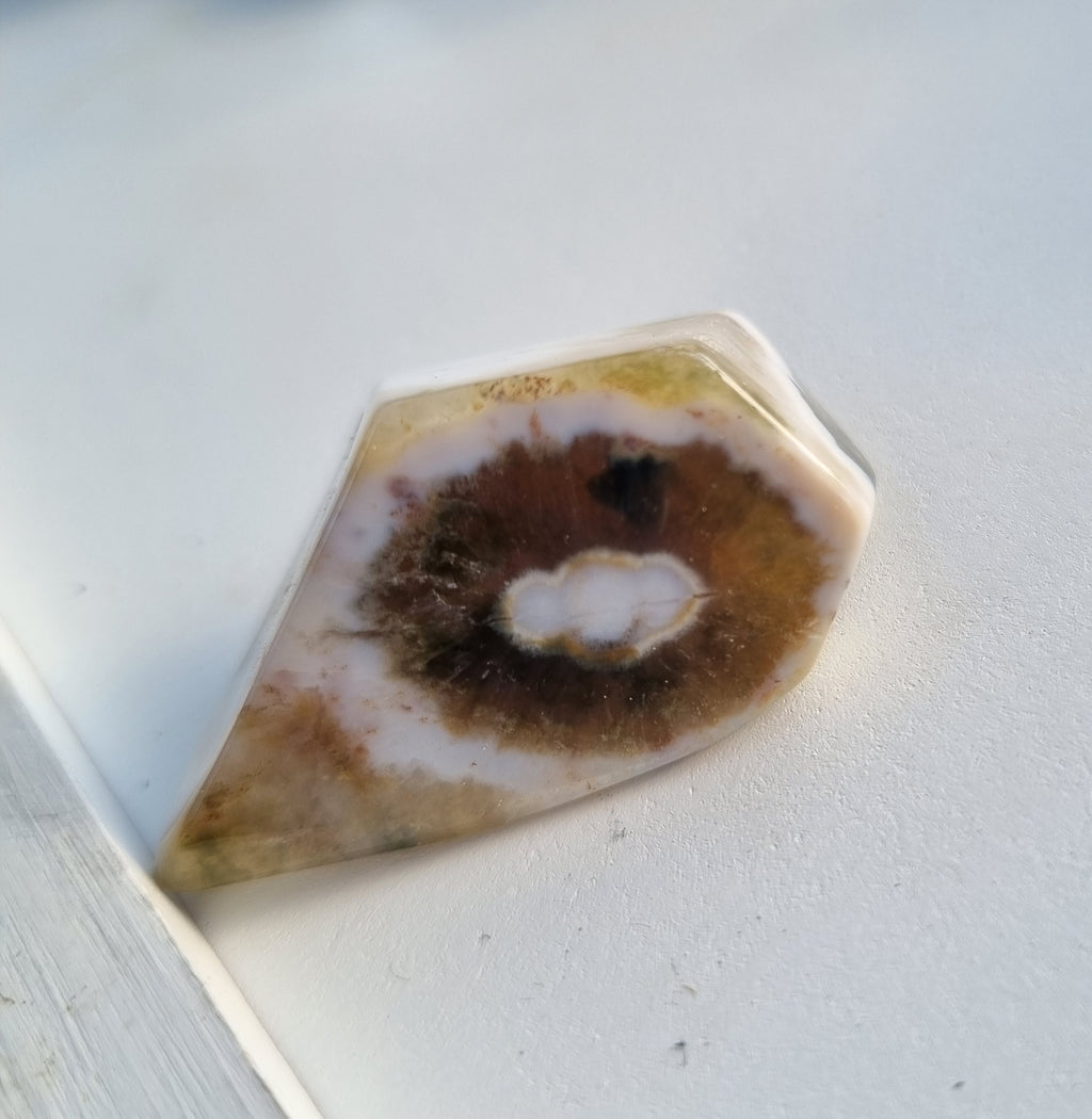 Ocean jasper cut freeform - polished