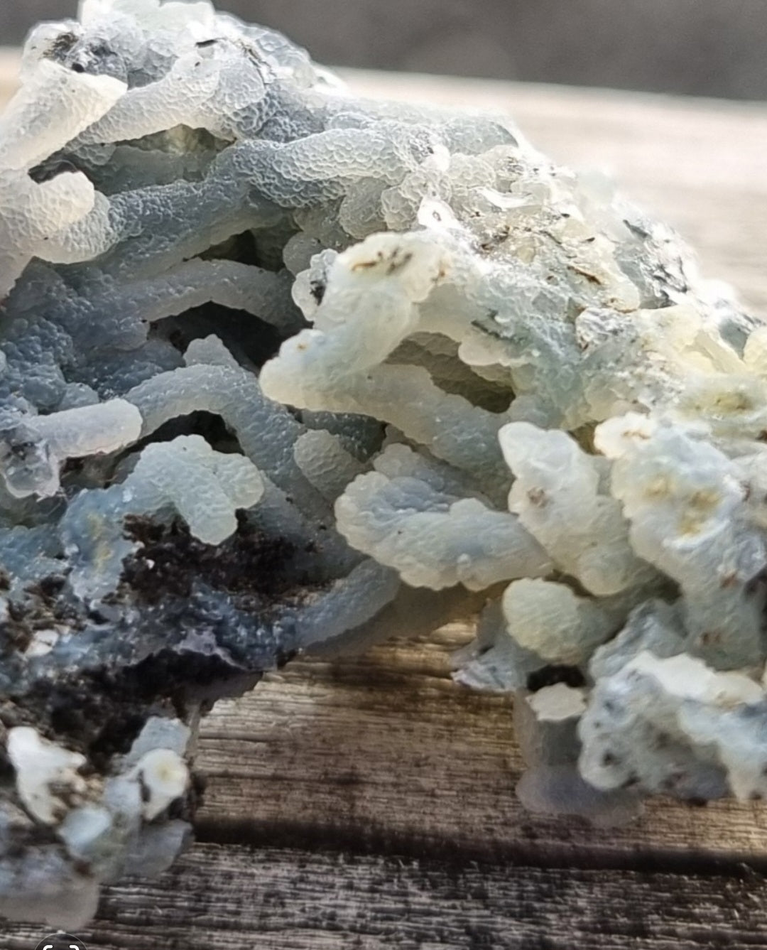 Coral chalcedony quartz - zeolite Specimen - india