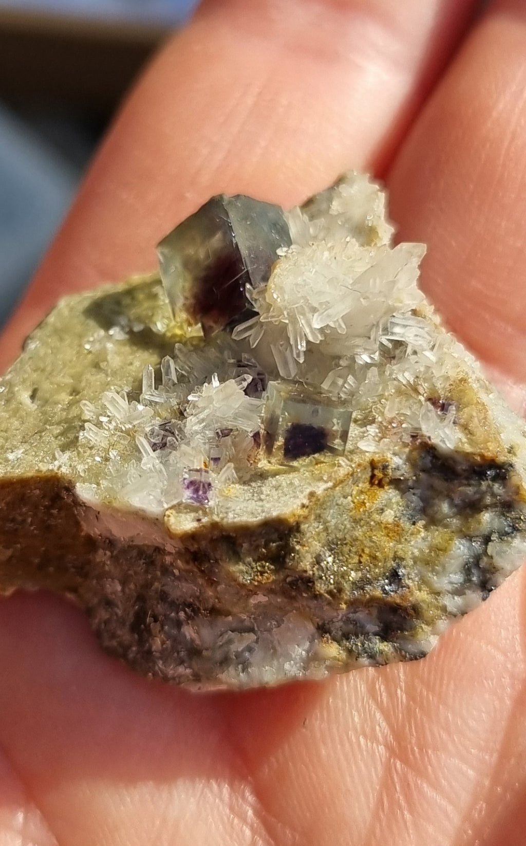 Cubic fluorite and quartz on matrix - Specimen - Africa