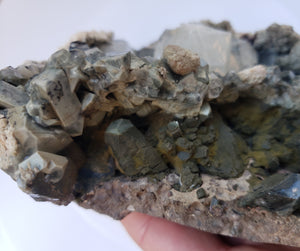 Marshy green Apophyllite