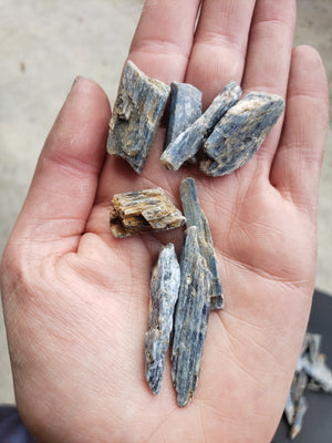 Kyanite blades - tiny treasures bits - 50g