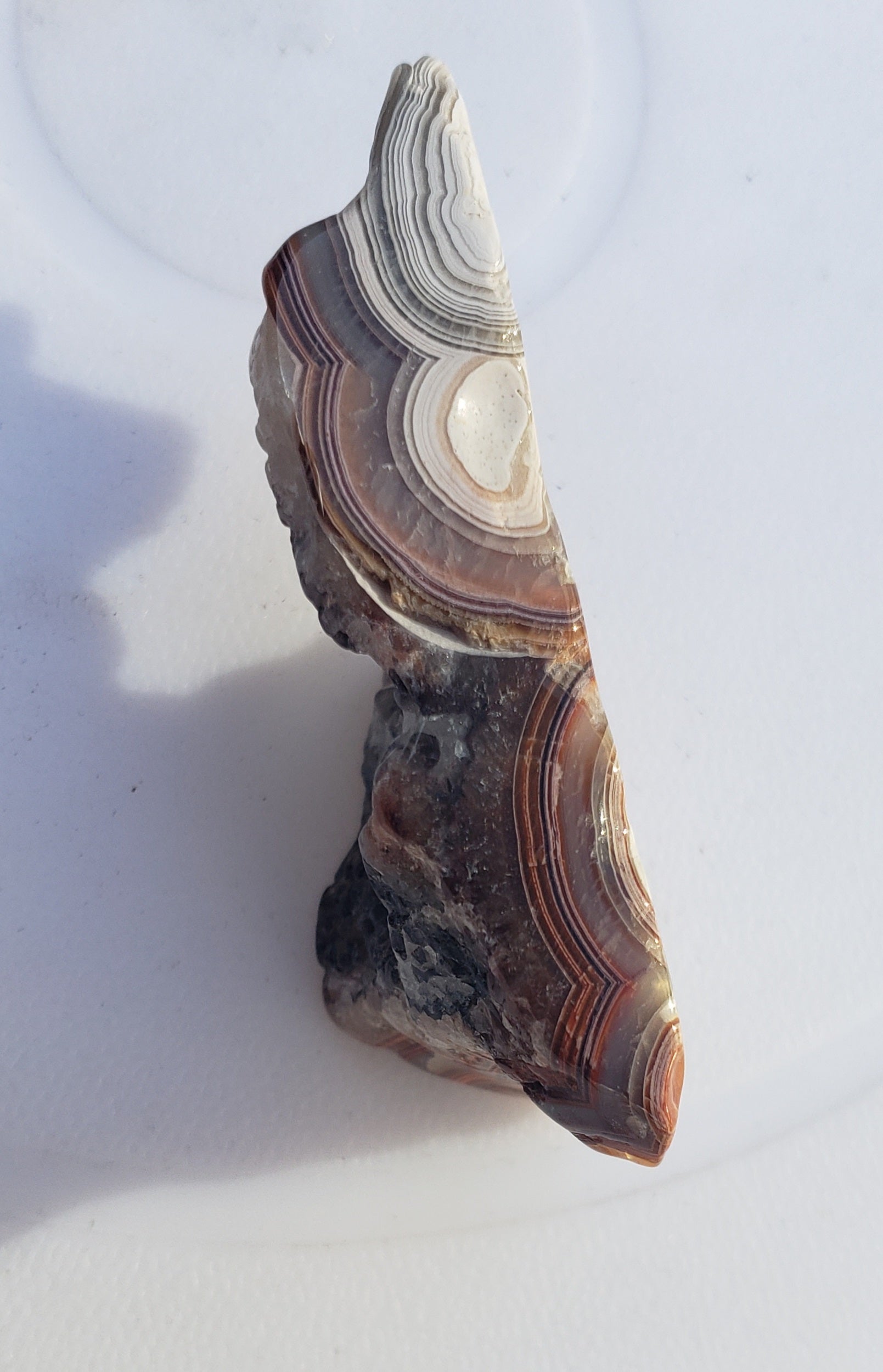 Mexican crazy lace agate freeform slice - 20grams - with druzy