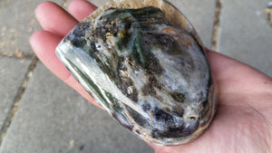 Ocean Jasper "Broken " Heart -  358grams