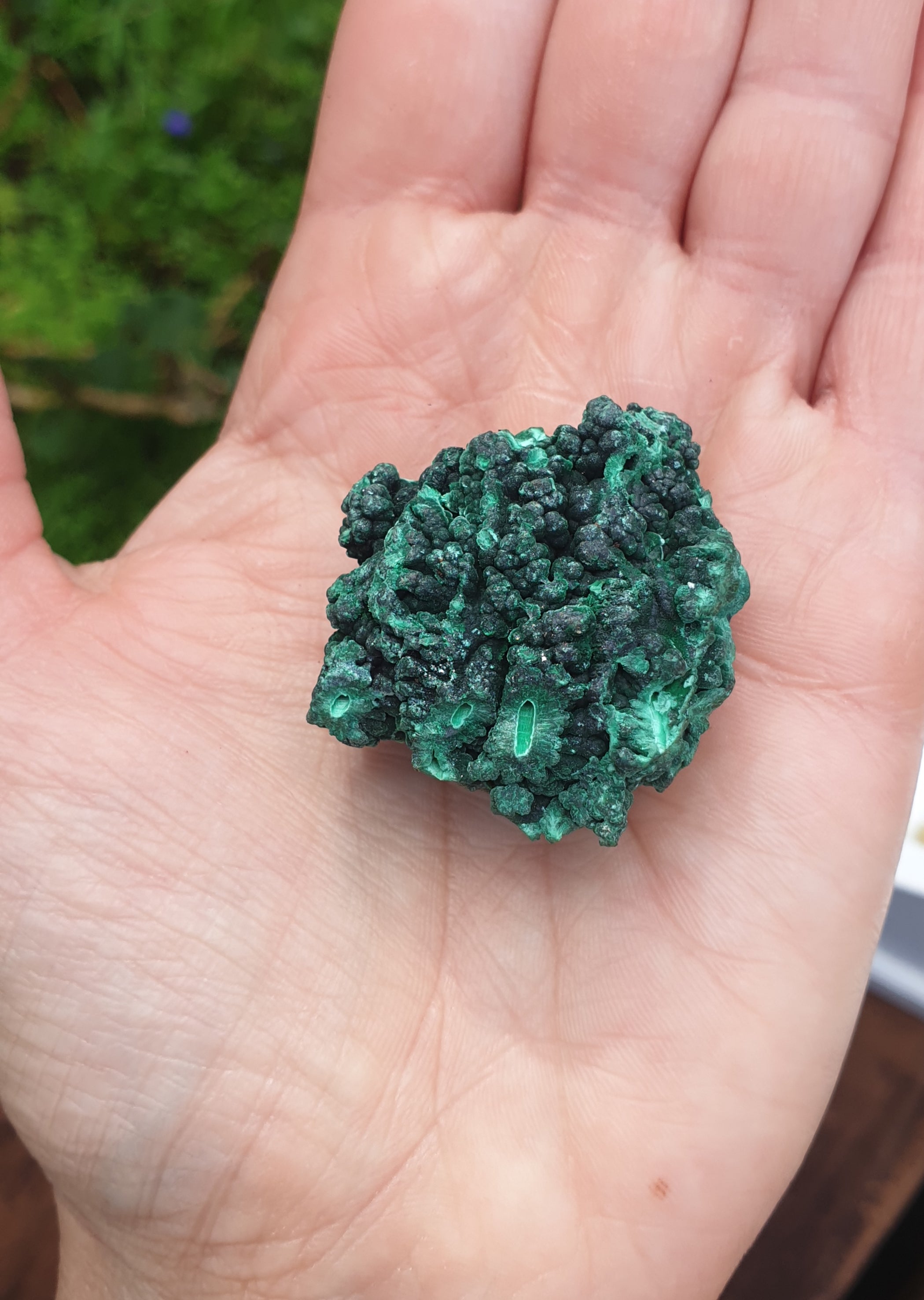 malachite specimen